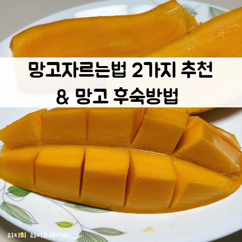 망고 자르는법 망고 손질법 자르기 마하차녹 무지개망고 후숙 방법 깎는법 까는법