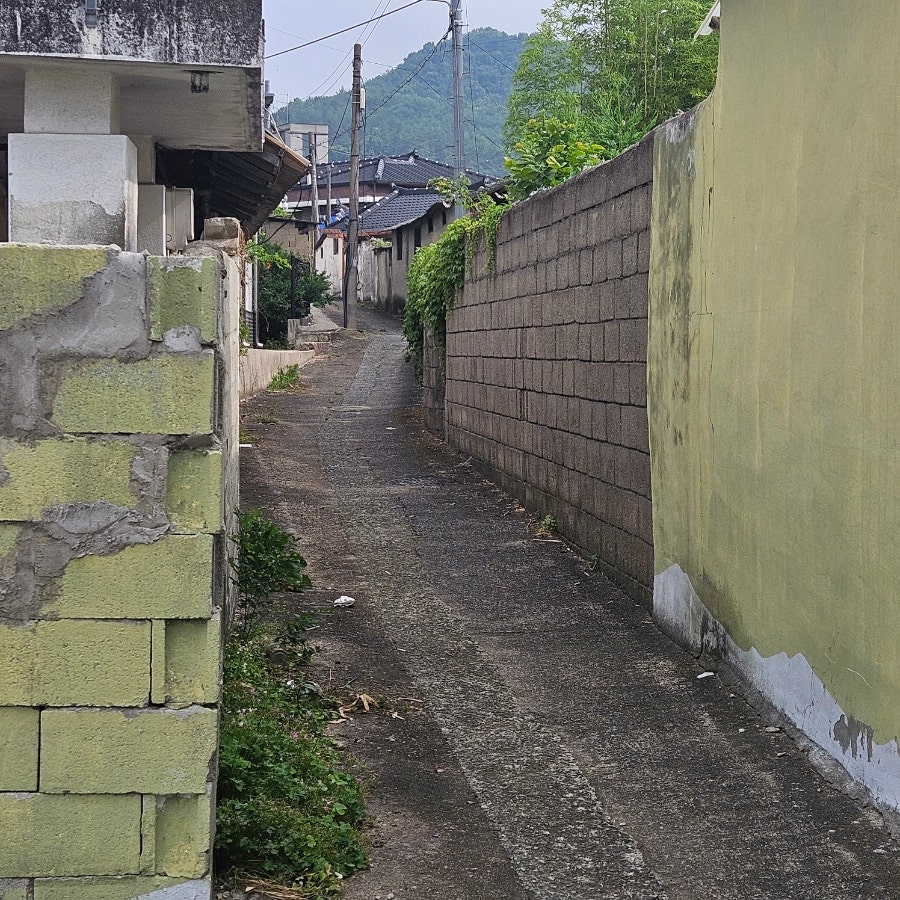 휴그린 사진 3