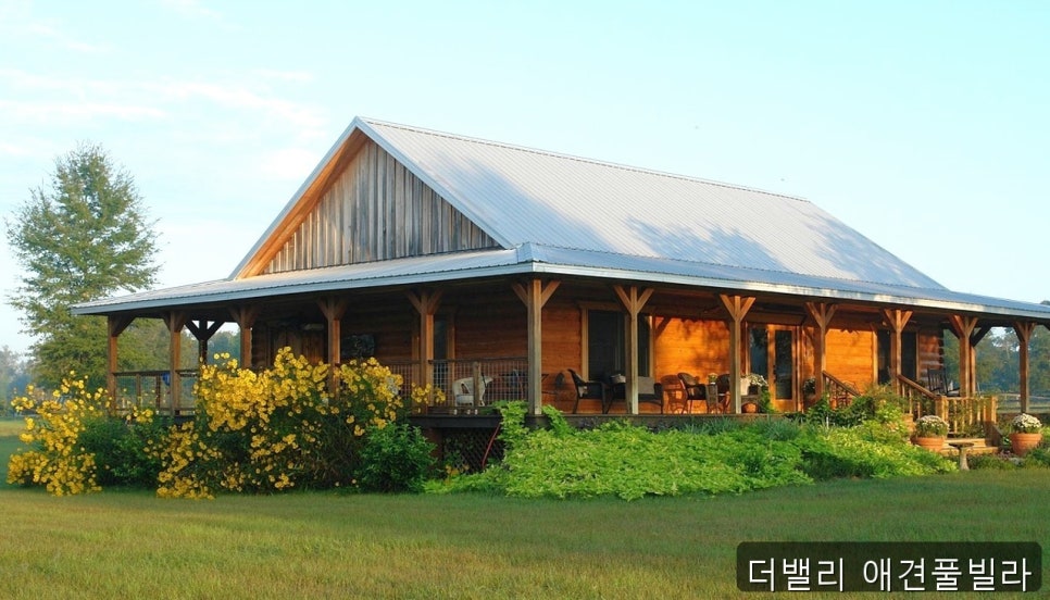 더밸리애견풀빌라 사진 3