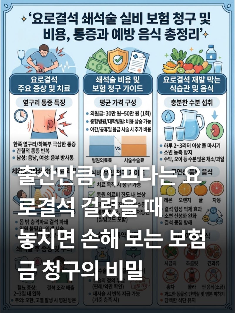 요로결석 쇄석술 비용 실비 보험 청구 서류 통증 예방음식 총정리
