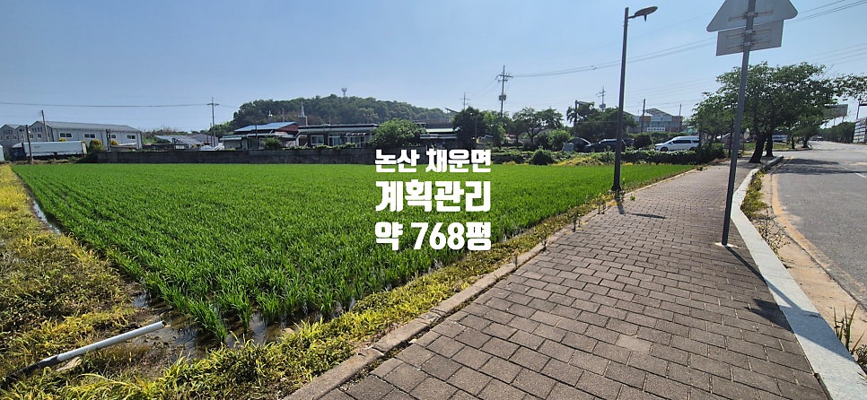 채운면사무소 사진 2