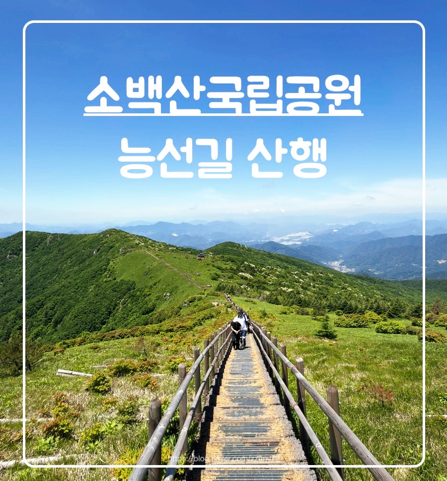 달밭골 사진 1