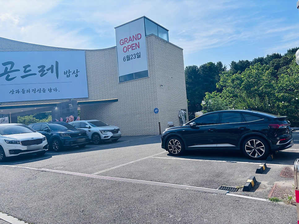 오색곤드레 사진 2