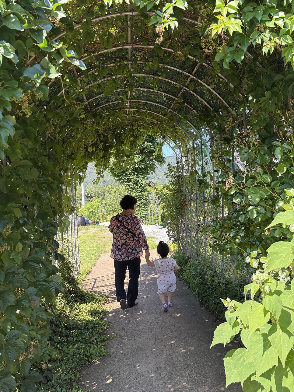 카페솔밭길 사진 5