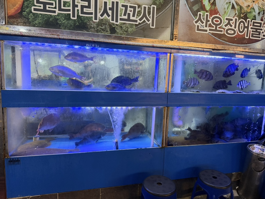 바다회집 사진 6