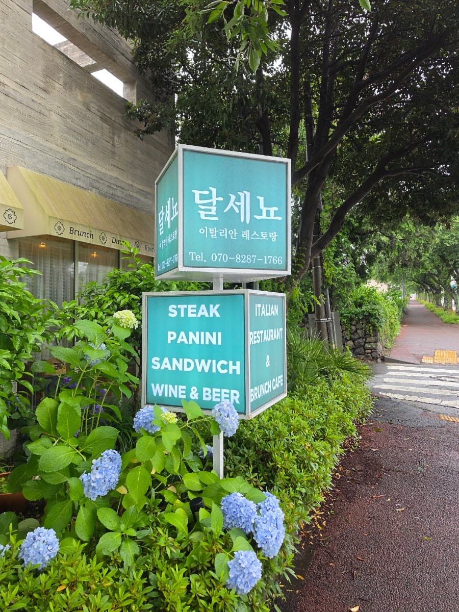 달세뇨 사진 2