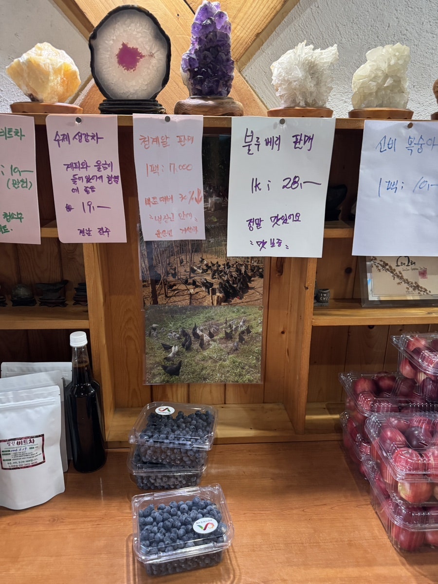 레스토랑 터 사진 3
