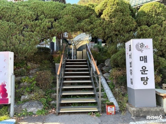 Hangajeongtongeojuk photo 2