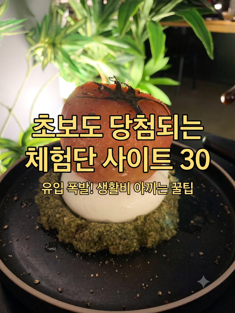 [정보] 초보 블로거도 백발백중! 선정 잘되는 블로그 체험단 협찬 사이트 추천 리스트 총정리....