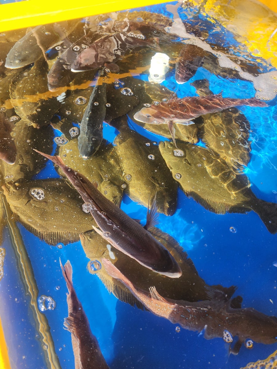 어시장 탕정점 사진 3