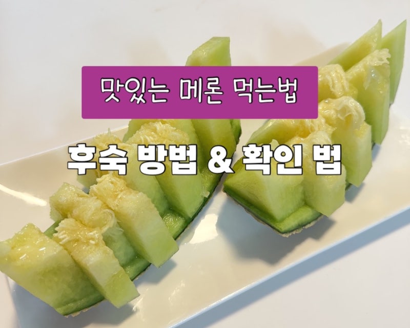 맛있는 메론 언제 먹어야 될까? 후숙 방법 & 후숙 확인