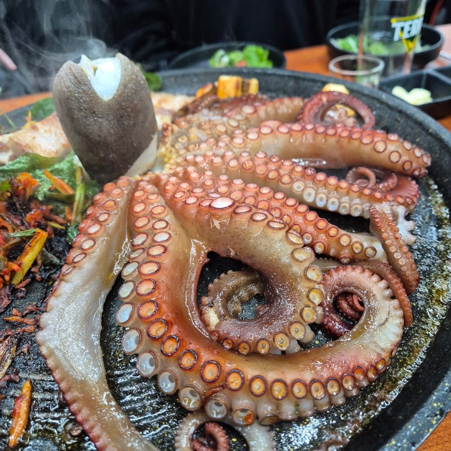 팔미육 사진 3