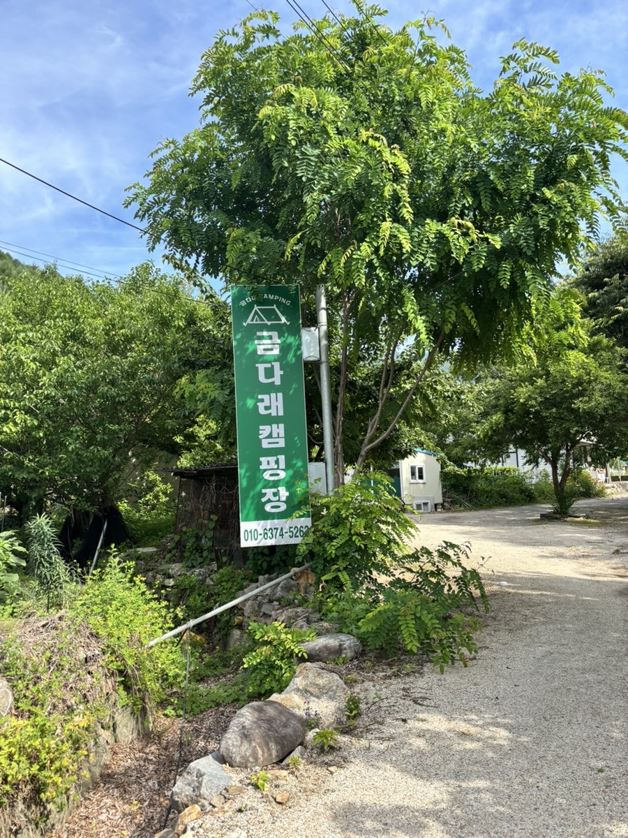 금다래캠핑장 사진 5