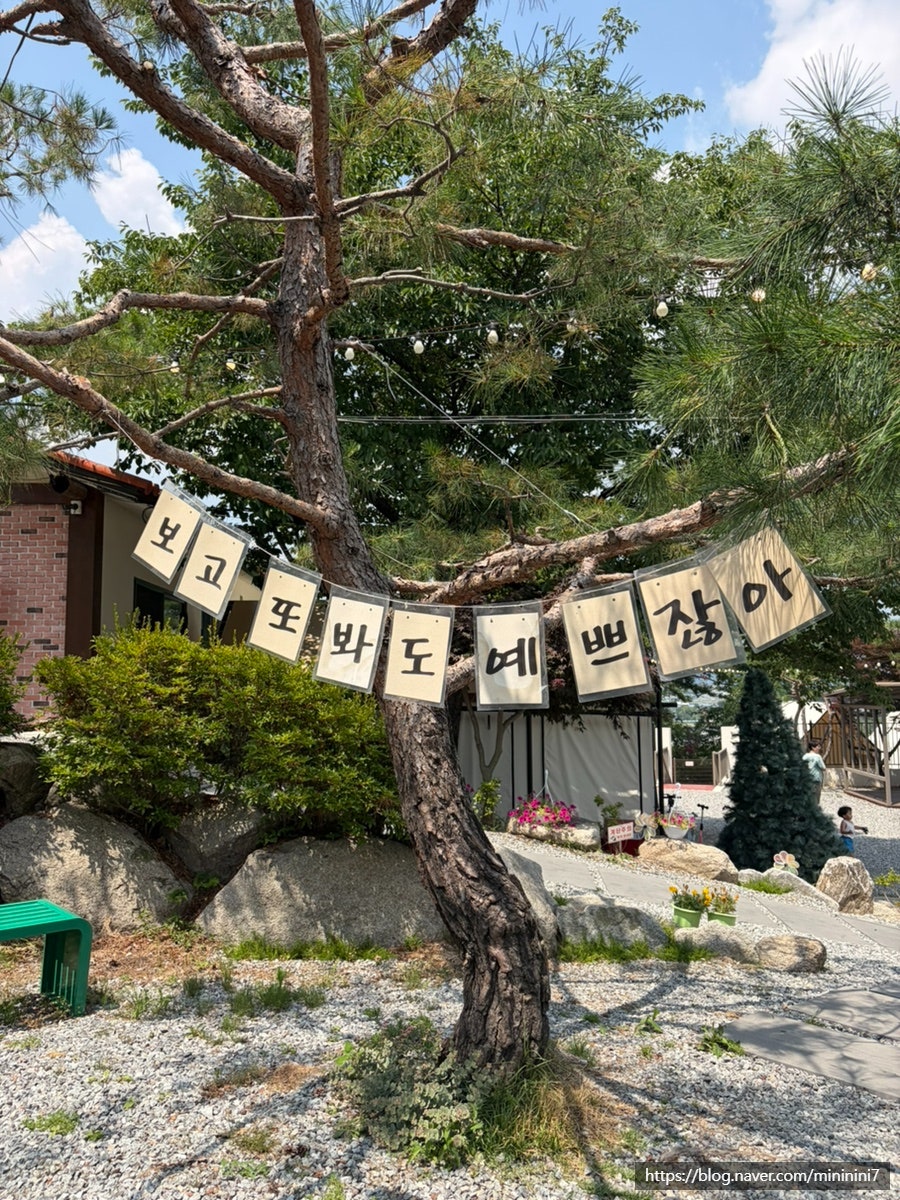 솔바베큐 사진 3