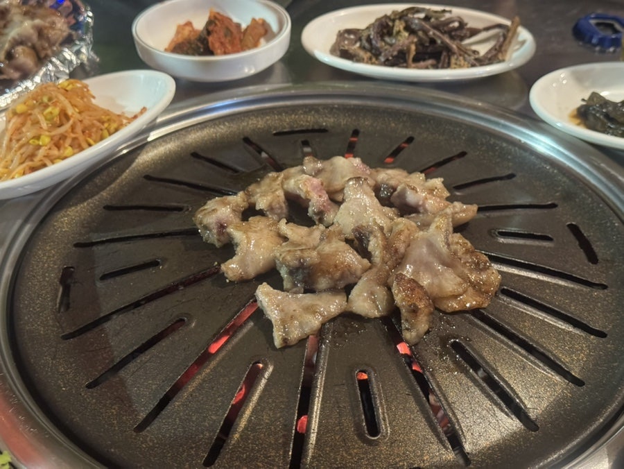 무대포 사진 5