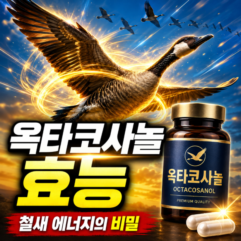 옥타코사놀 효능 (+부작용, 복용시간) - 철새가 쉬지 않고 수천 km를 나는 에너지원의 비밀