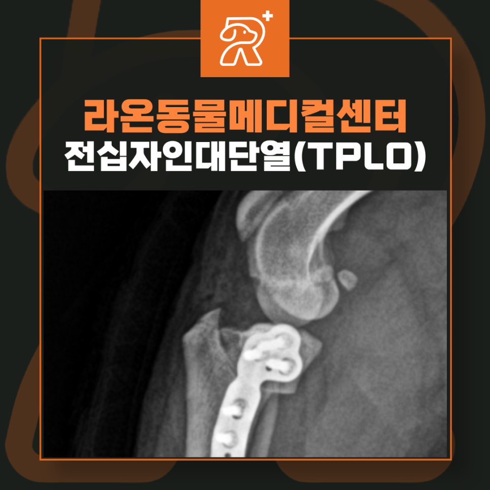 절골 사진 1