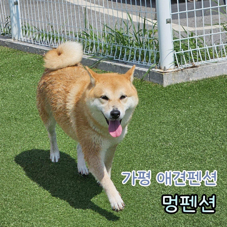 멍펜션 사진 1