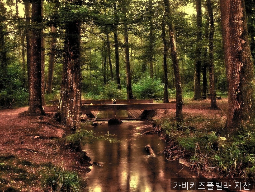 가비키즈풀빌라 지산 사진 1