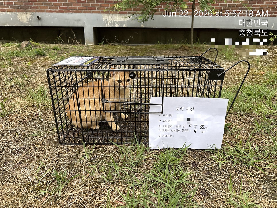 오수의과동물병원 사진 3