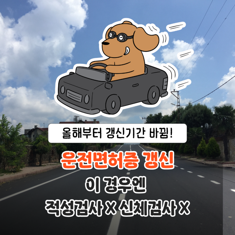 운전면허증 갱신 온라인 비용 후기 신체검사 과태료는 얼마?