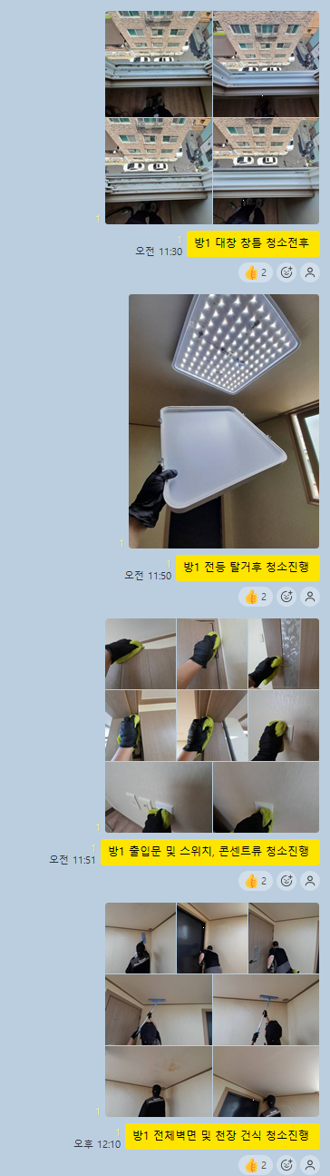 담 사진 5