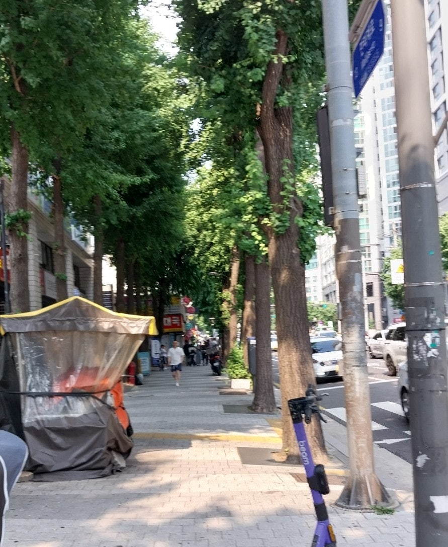 마포청학동부침개 사진 3