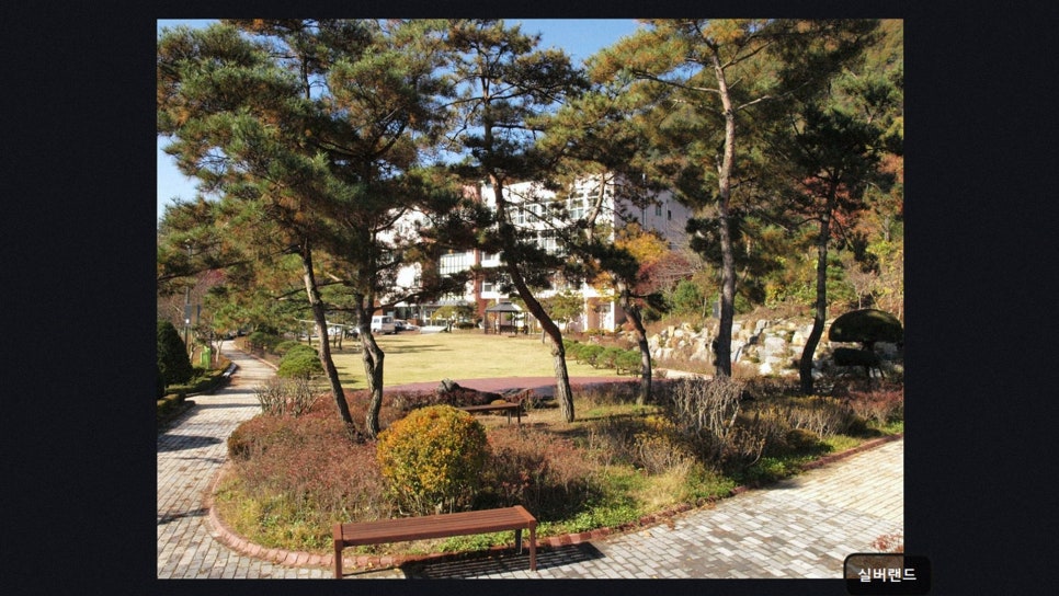 실버랜드 사진 2