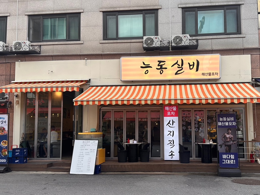 능동실비 사진 2
