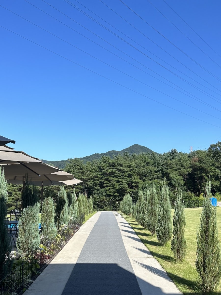 리퍼블릭 춘천본점 사진 4