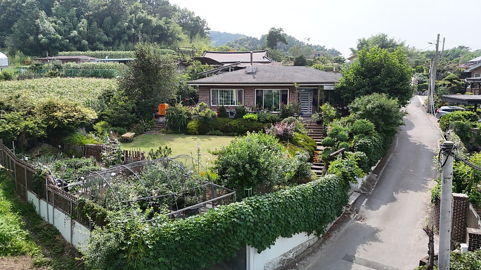 사계절 사진 2