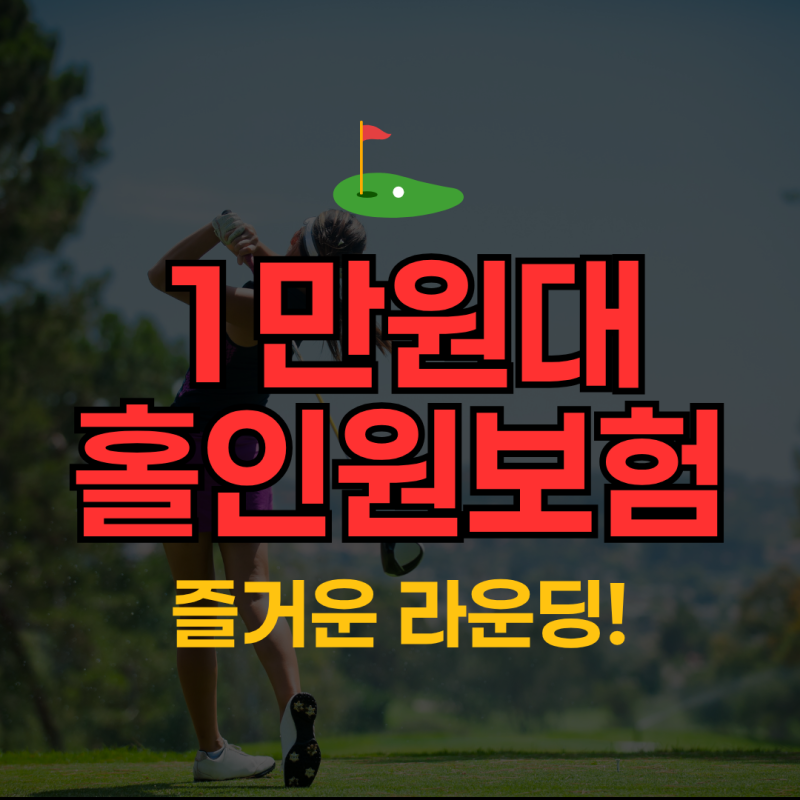 1만원대 홀인원 보험, 흥국화재 스마일운전자종합보험으로 준비!