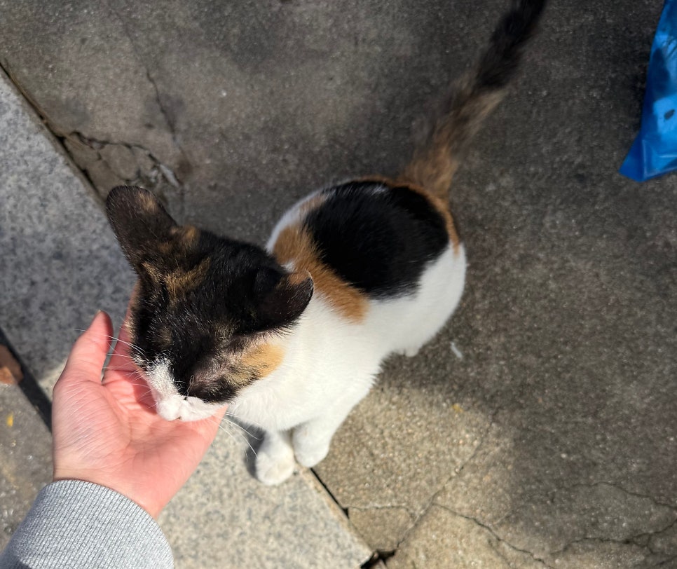 스몰하노이 가좌점 사진 6
