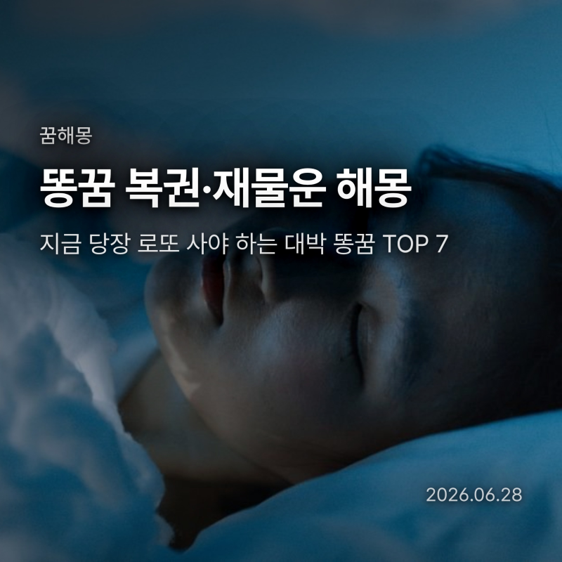 똥꿈 복권 해몽, 지금 당장 로또 사야 하는 대박 똥꿈 TOP 6