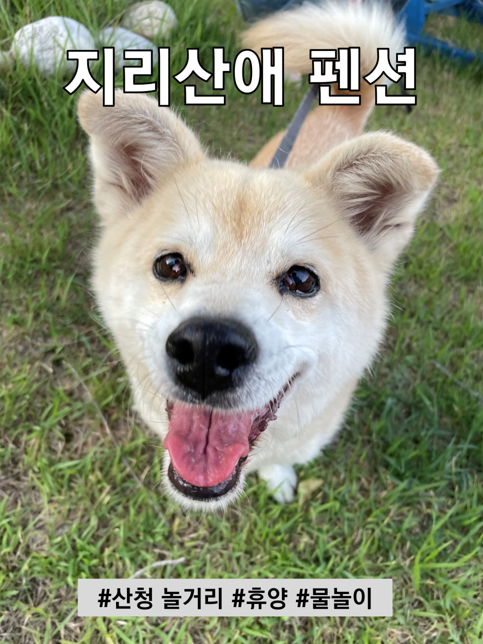 지리산애펜션 사진 1