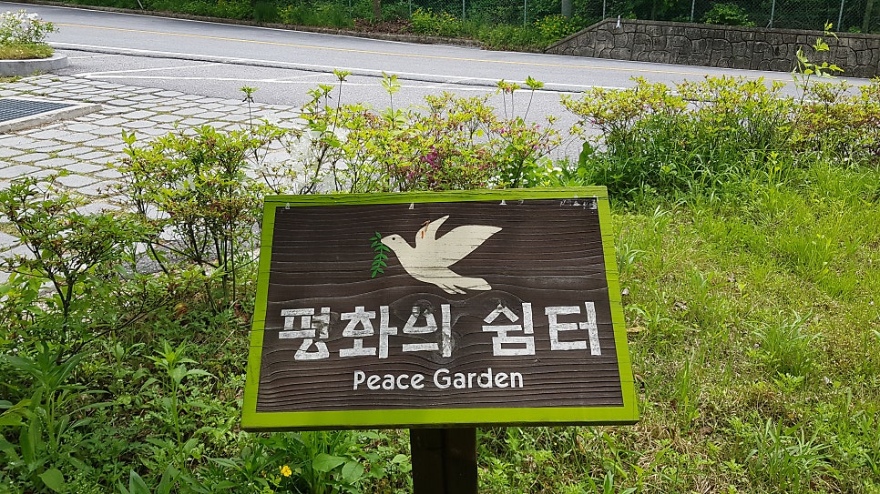 달눔자리 사진 1