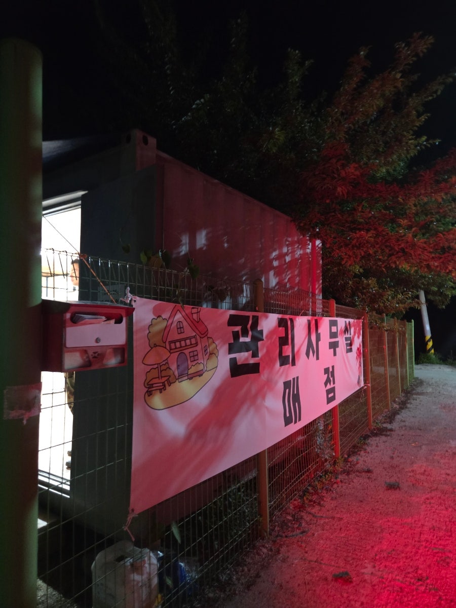 더풀하우스펜션 사진 3