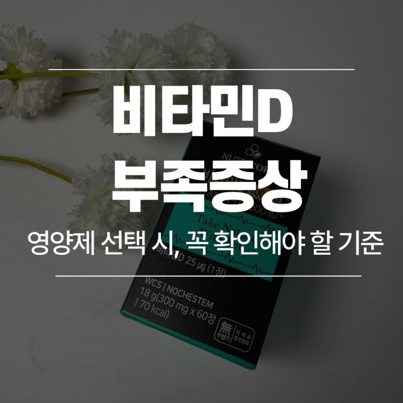비타민D 부족증상, 영양제 선택 시 꼭 확인해야 할 기준은?