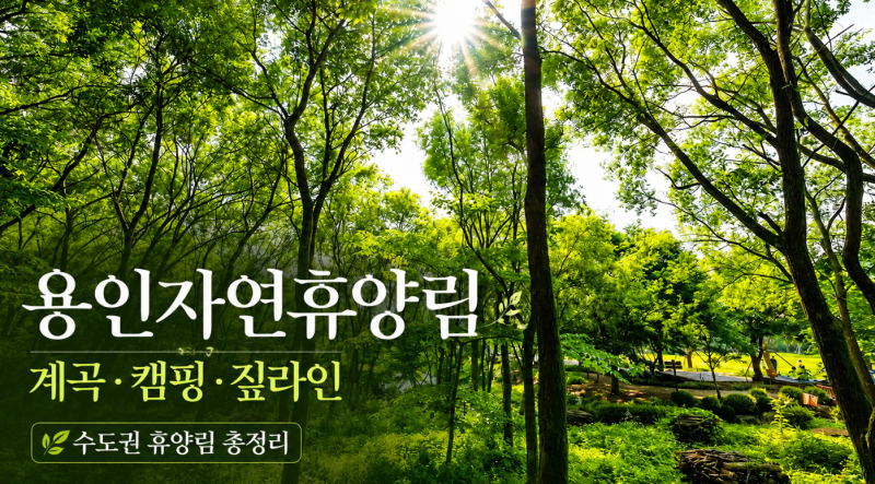 용인자연휴양림 계곡 캠핑 짚라인 숙박 요금 수도권 휴양림 총정리