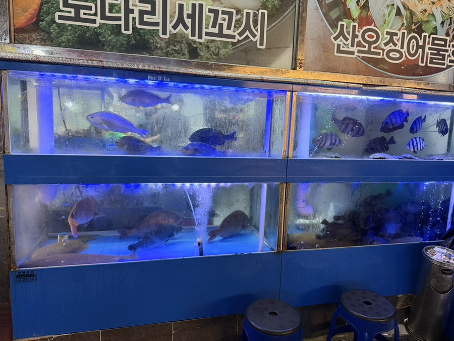 바다회집 사진 5
