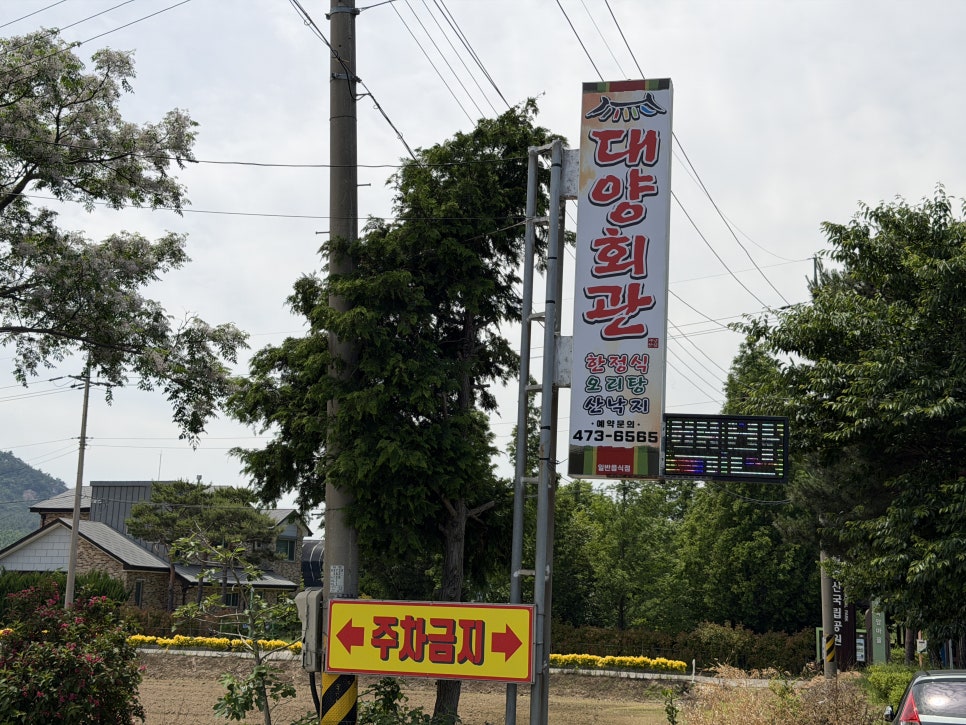 대양회관 사진 2