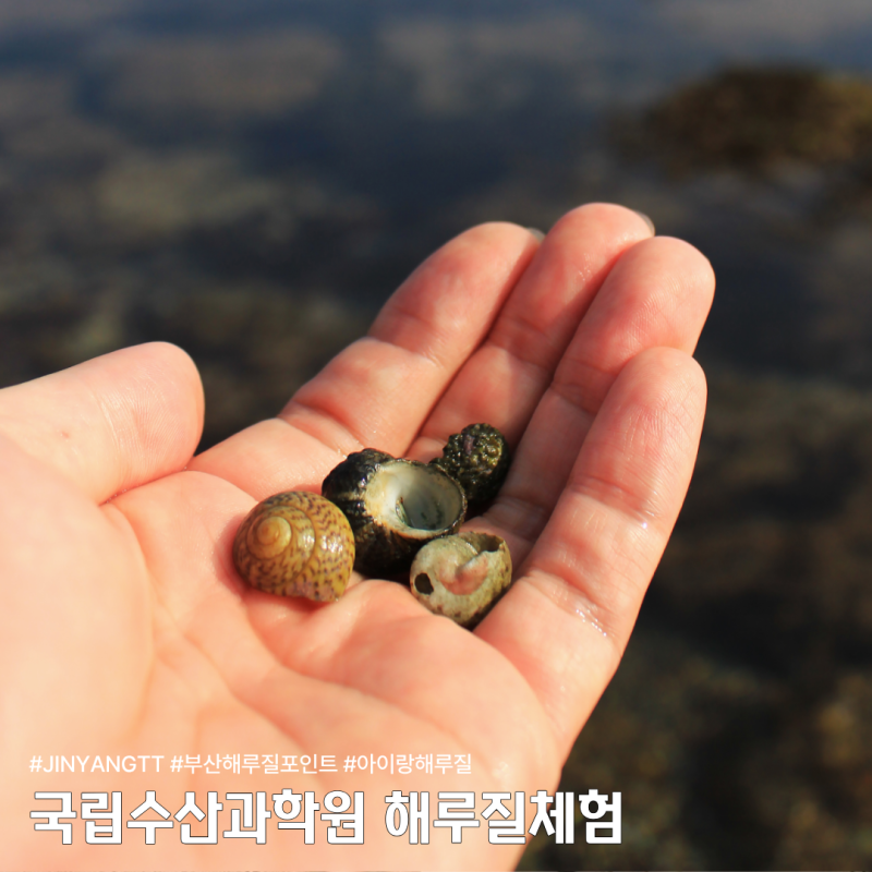 부산 기장 해루질 스팟 국립수산과학관에 아이랑 다녀왔어요!