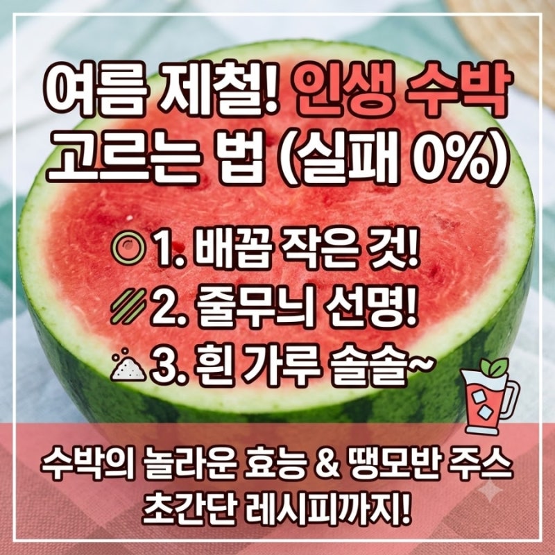 맛있는 수박고르는법 수박의효능 여름철수박보관방법 수박쥬스 만드는법 알아봐요