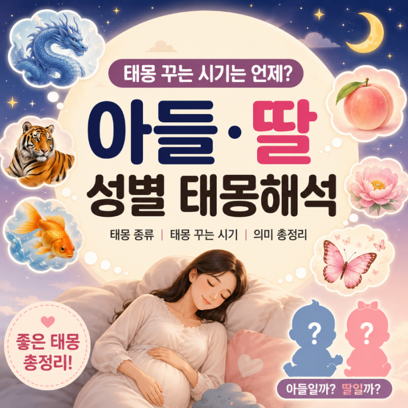 태몽 꾸는 시기는 언제인지? 소중한 추억이 되는 아들태몽 딸태몽 동물태몽 과일태몽 태몽별....