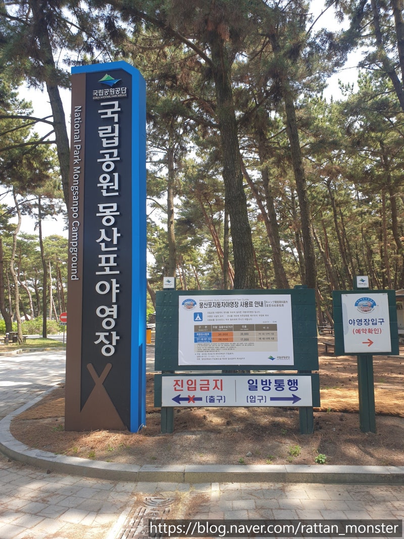 국립공원 몽산포 야영장 E 사이트 이용후기 명당 추천