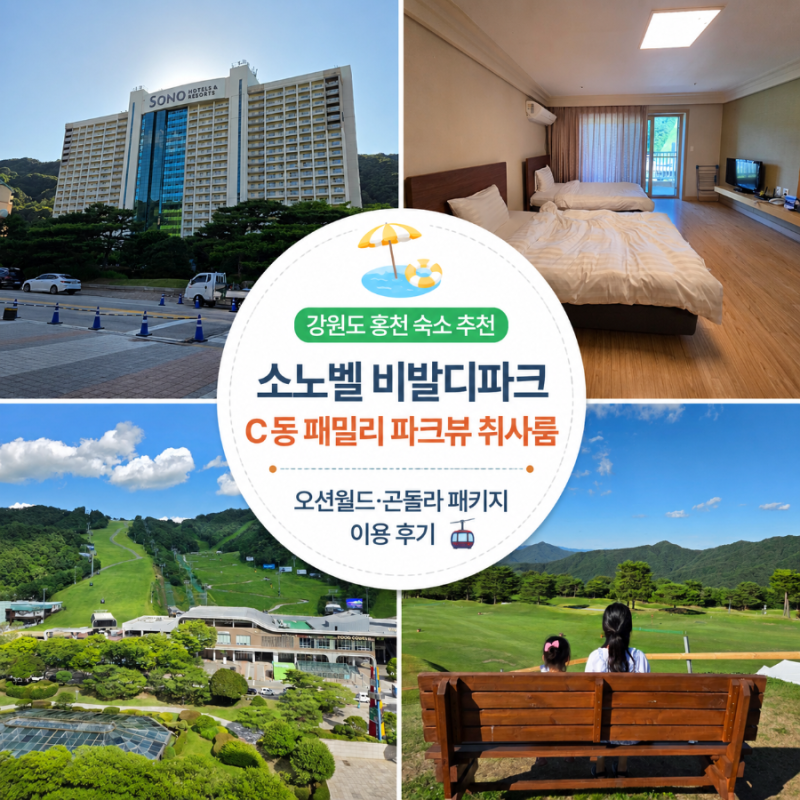 소노벨 비발디파크 C동 패밀리 파크뷰 | 오션월드·곤돌라 패키지 이용 후기
