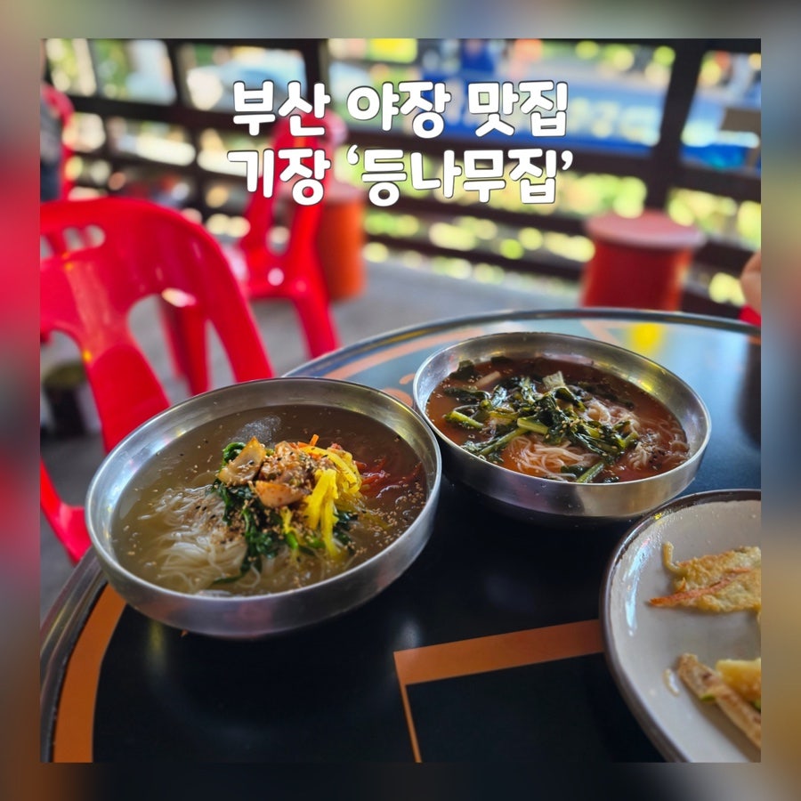 등나무집 사진 1