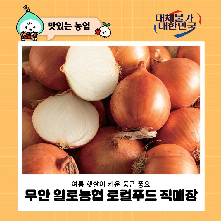 여름 햇살이 키운 둥근 풍요, 무안 일로농협 로컬푸드 직매장에 가득 찬 7월의 향기
