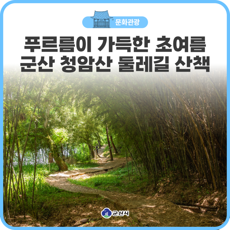 푸르름이 가득한 초여름 군산 청암산 둘레길 산책
