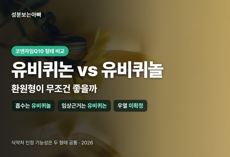 코엔자임Q10 유비퀴놀 차이, 환원형이 무조건 좋을까 (2026)